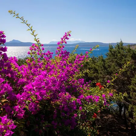 Apartment Splendido Vista Mare Porto Rotondo